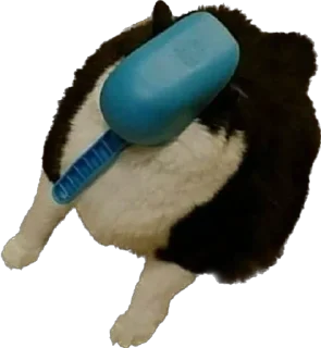 🫣