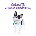 🐶
