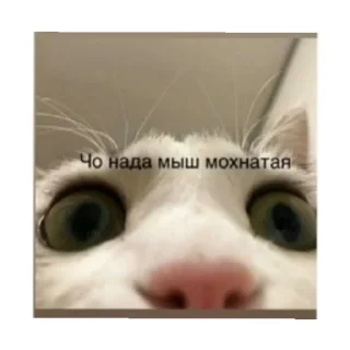 👀