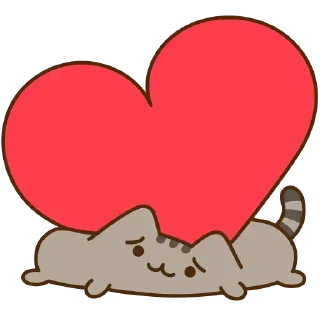 ❤️