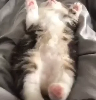 😴