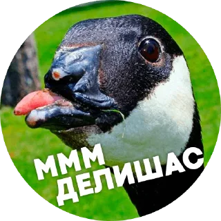 😏