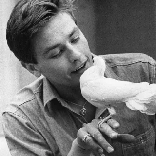 🕊