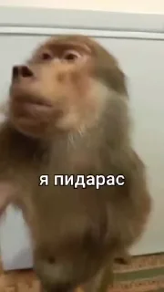😏
