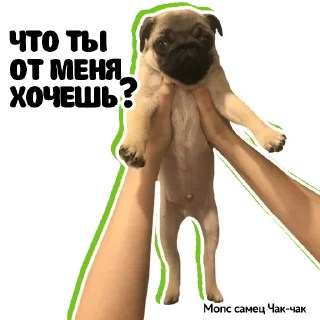 😡