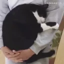 😴
