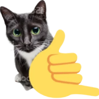 🤙
