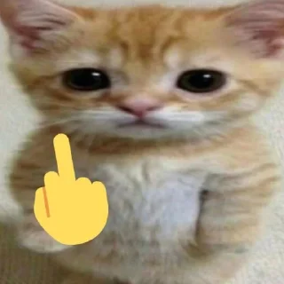 🖕
