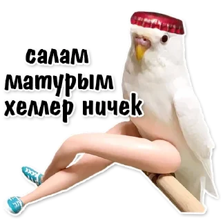 ☺
