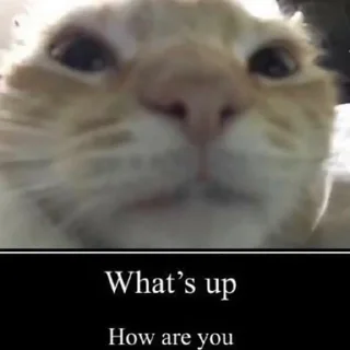 👋