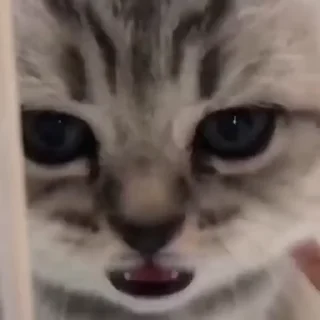 😲