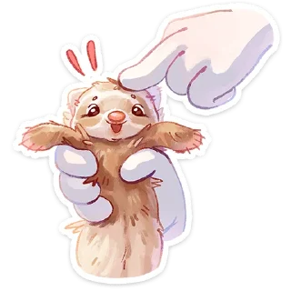 ⭐