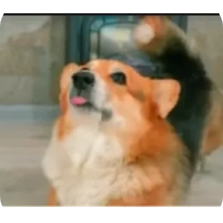 👍