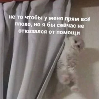 😭