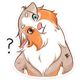 ❓