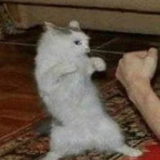 🤜