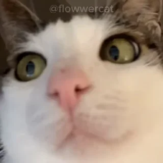 🤨