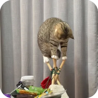 🥢