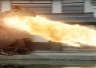 🐉
