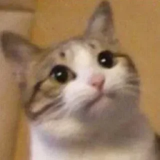 😗