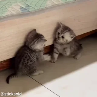 ❤️