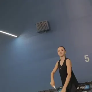 🏸