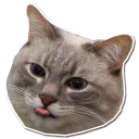 😋