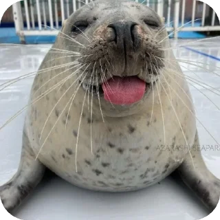 ❤