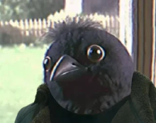 👀