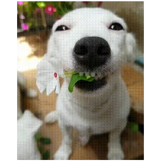 😬