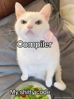 🌟