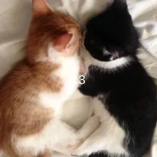 ❤️