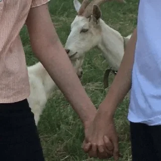 💜