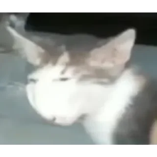 😑