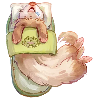 😴