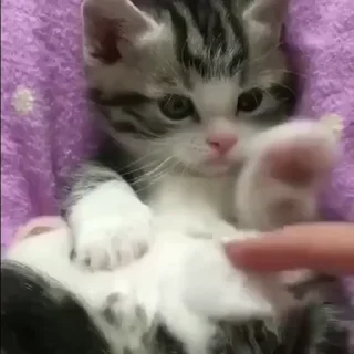 ☺️