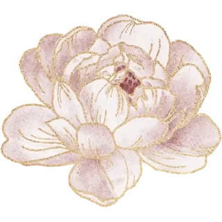🌸