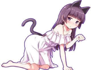 🐈