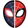 Into the Spider-Verse