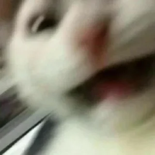 🤯