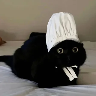 👨‍🍳