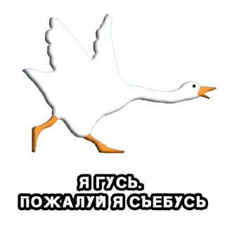 🏃‍♀️