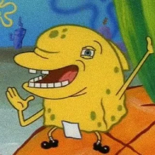 🧽
