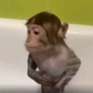 🐵
