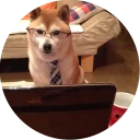 💻
