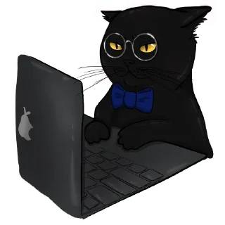 🐈‍⬛