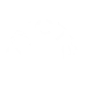 🎲