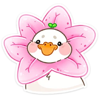 🌺