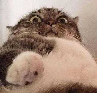 🤨