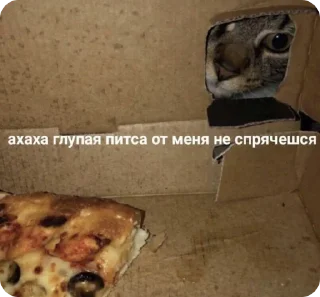 🍕